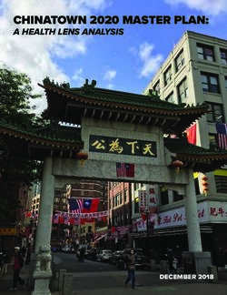 CHINATOWN 2020 MASTER PLAN: A HEALTH LENS ANALYSIS - DECEMBER 2018