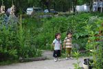 Multifunctionality of the Urban Horticulture - Giorgio PROSDOCIMI GIANQUINTO Research Centre in Urban Environment for Agriculture and Biodiversity ...