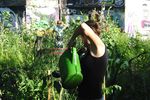 Multifunctionality of the Urban Horticulture - Giorgio PROSDOCIMI GIANQUINTO Research Centre in Urban Environment for Agriculture and Biodiversity ...