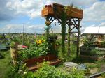 Multifunctionality of the Urban Horticulture - Giorgio PROSDOCIMI GIANQUINTO Research Centre in Urban Environment for Agriculture and Biodiversity ...