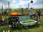 Multifunctionality of the Urban Horticulture - Giorgio PROSDOCIMI GIANQUINTO Research Centre in Urban Environment for Agriculture and Biodiversity ...