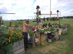 Multifunctionality of the Urban Horticulture - Giorgio PROSDOCIMI GIANQUINTO Research Centre in Urban Environment for Agriculture and Biodiversity ...