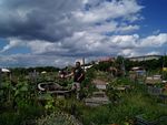 Multifunctionality of the Urban Horticulture - Giorgio PROSDOCIMI GIANQUINTO Research Centre in Urban Environment for Agriculture and Biodiversity ...