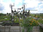 Multifunctionality of the Urban Horticulture - Giorgio PROSDOCIMI GIANQUINTO Research Centre in Urban Environment for Agriculture and Biodiversity ...