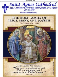 Saint Agnes Cathedral - 533 S. Jefferson Avenue, Springfield, MO 65806 417-831-3565