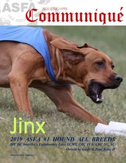 Jinx 2019 ASFA #1 HOUND ALL BREEDS BIF DC Imarika's Fashionably Late, LCM2, CKC FCh, CKC NC, SC - Irish Wolfhound Club ...
