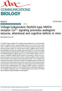 Voltage-independent GluN2A-type NMDA receptor Ca2+ signaling promotes audiogenic seizures, attentional and cognitive deficits in mice