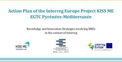 Action Plan of the Interreg Europe Project KISS ME EGTC Pyrénées-Méditerranée - Knowledge and Innovation Strategies involving SMEs in the context ...