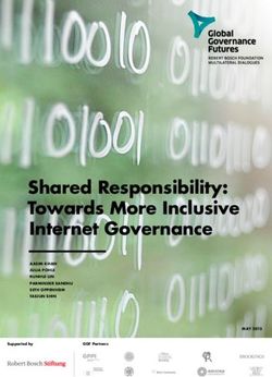 Shared Responsibility: Towards More Inclusive Internet Governance