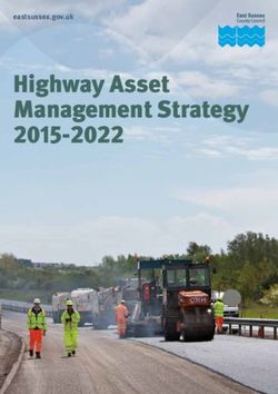 Highway Asset Management Strategy 2015-2022 - eastsussex.gov.uk - East ...