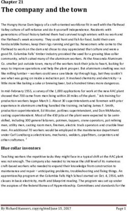 The company and the town - From Superstar to Superfund ...