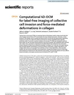 Computational 4D OCM for label free imaging of collective cell invasion and force mediated deformations in collagen - Nature