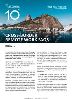 CROSS-BORDER REMOTE WORK FAQS - brazil