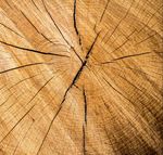 Sustainability Report 2018 - Communication on Progress to the United Nations Global Compact - UN Global Compact