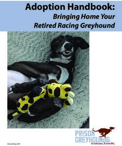 Adoption Handbook: Bringing Home Your Retired Racing Greyhound - Prison Greyhounds