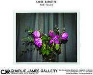 SADIE BARNETTE PORTFOLIO - CHARLIE JAMES GALLERY
