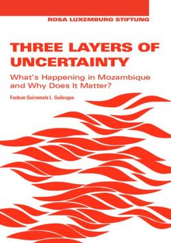 Three Layers of UncerTainTy - What's Happening in Mozambique and Why Does It Matter? - Rosa Luxemburg Stiftung Southern Africa