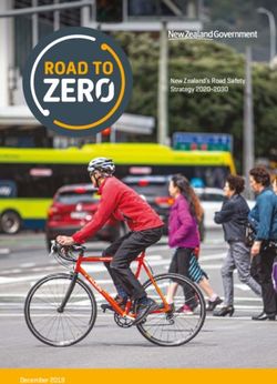 New Zealand's Road Safety Strategy 2020-2030 - December 2019 - Ministry of Transport