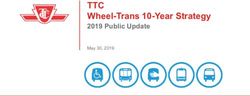 TTC Wheel-Trans 10-Year Strategy - 2019 Public Update May 30, 2019