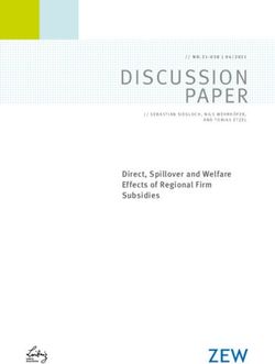 Direct, Spillover and Welfare Effects of Regional Firm Subsidies - ZEW