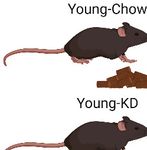 Ketogenic diet restrains aging-induced exacerbation of coronavirus infection in mice - eLife