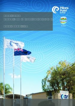 2019 -2021 School Charter and Strategic Aims 2019 Annual Plan - Pillans Point School