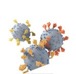 THE DREAM VACCINE WHY STOP AT JUST SARS-COV-2? VACCINES IN DEVELOPMENT AIM TO PROTECT AGAINST MANY CORONAVIRUSES AT ONCE - INSTITUTE FOR PROTEIN ...