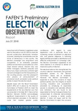 ELECTION FAFEN'S Preliminary