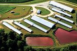 A Look At Concentrated Animal Feeding Operations in North Carolina
