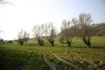 Folkestone and Hythe Birds Tetrad Guide: TR13 C (West Hythe Dam, Port Lympne and Lympne Old Airfield)