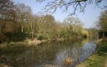 Folkestone and Hythe Birds Tetrad Guide: TR13 C (West Hythe Dam, Port Lympne and Lympne Old Airfield)