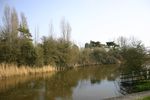 Folkestone and Hythe Birds Tetrad Guide: TR13 C (West Hythe Dam, Port Lympne and Lympne Old Airfield)