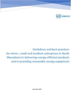 Guidelines and best practices for micro-, small and medium enterprises in North Macedonia in delivering energy-efficient products and in providing ...