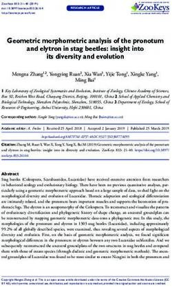 Geometric morphometric analysis of the pronotum and elytron in stag beetles: insight into its diversity and evolution