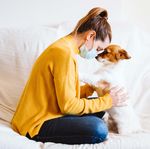 Pets and the Pandemic - A social research snapshot of pets and people in the COVID-19 era - Animal Medicines Australia