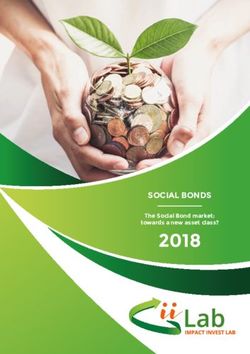 2018 SOCIAL BONDS The Social Bond market: towards a new asset class? - ICMA