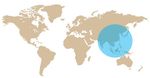 Investing in the Future of Asia - China Small Companies Fund - Matthews Asia