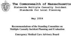 The Commonwealth of Massachusetts - Statewide Multiple Casualty Incident Standards for Local Planning May 2004