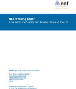 NEF working paper Economic inequality and house prices in the UK