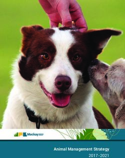 Animal Management Strategy 2017-2021 - Mackay Regional ...