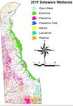 2021-2025 Delaware Wetland Program Plan - A guidance for building a State of Delaware comprehensive wetland program - EPA