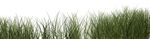 2021-2025 Delaware Wetland Program Plan - A guidance for building a State of Delaware comprehensive wetland program - EPA