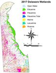 2021-2025 Delaware Wetland Program Plan - A guidance for building a State of Delaware comprehensive wetland program - EPA