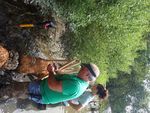 2021-2025 Delaware Wetland Program Plan - A guidance for building a State of Delaware comprehensive wetland program - EPA