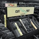 SOFT DRINKS REVIEW 2018 - Britvic