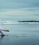 Education EDUCATION RESOURCE - rnzb.org.nz facebook.com/nzballet - The Royal New Zealand Ballet