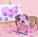 Service Packet - Arizona Humane Society