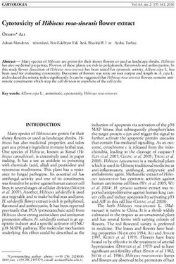 Cytotoxicity of Hibiscus rosa-sinensis fl ower extract