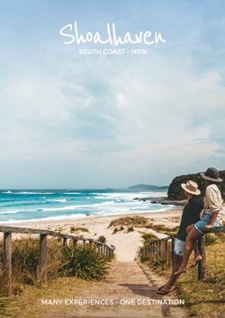 MANY EXPERIENCES - ONE DESTINATION - Delish Pet Treats