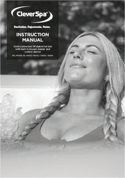 INSTRUCTION MANUAL - Clever Company